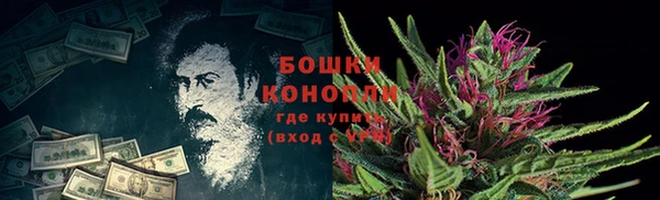 шишки Армянск