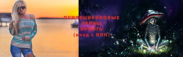 не бодяженный Арсеньев
