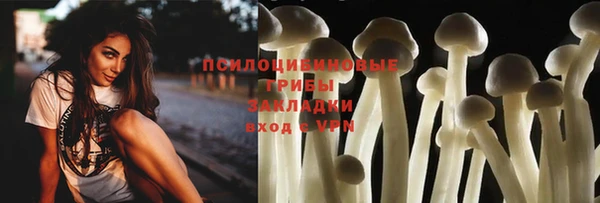 шишки Армянск