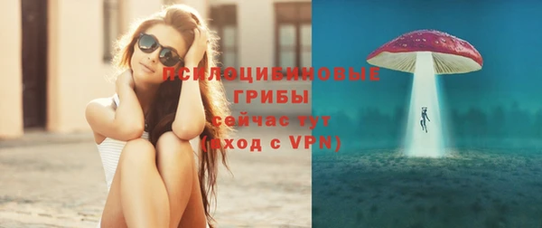 не бодяженный Арсеньев