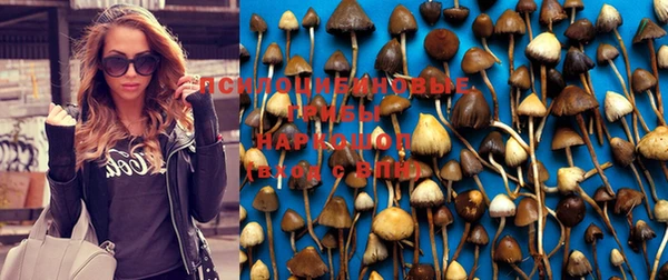 таблы Дмитров