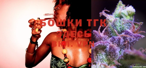 шишки Армянск