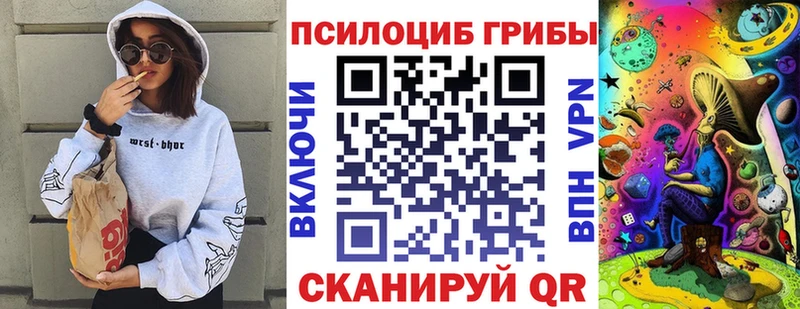 Псилоцибиновые грибы мицелий  магазин  наркотиков  Богданович 